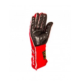 Gants GT2i Pro 02