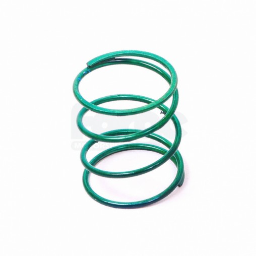 Uprated Dump Valve Spring (Single)