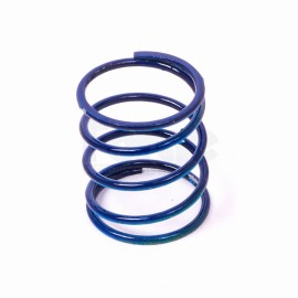 Uprated Dump Valve Spring (Single)