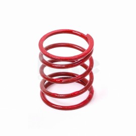 Uprated Dump Valve Spring (Single)