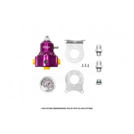 Fuel Pressure Regulator