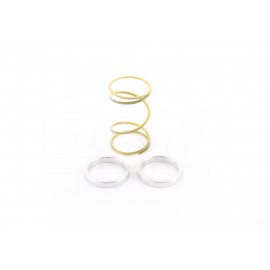 Wastegate Springs & Shims