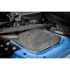 Carbon Fibre Induction Kit for BMW M3 F80/M4 F82