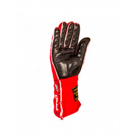 Gants GT2i Pro 02