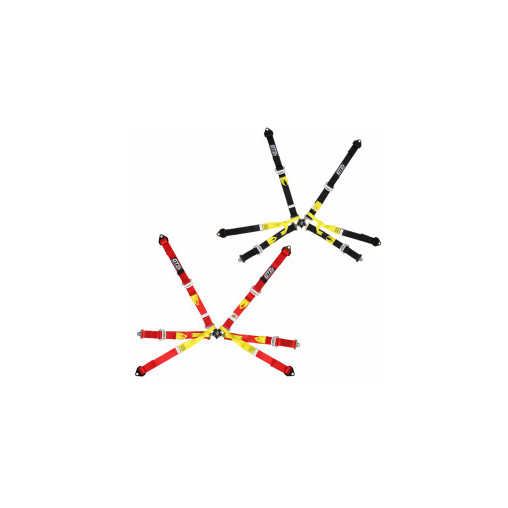 Harnais monoplace GT2i PRO 6 points FIA validité 31-12-2028