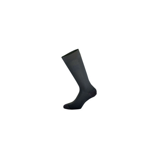 Chaussettes Alpinestars ZX V4