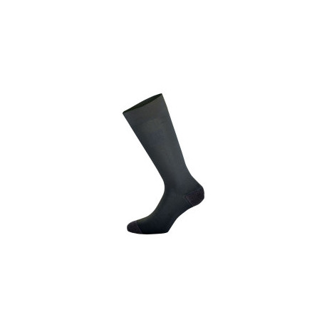 Chaussettes Alpinestars ZX V4