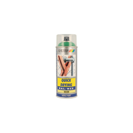 Peinture aérosol RAL 6029 MOTIP RAL 400ml