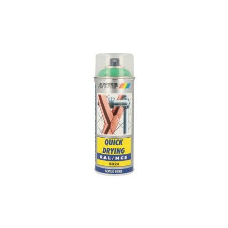 Peinture aérosol RAL 6024 MOTIP RAL 400ml